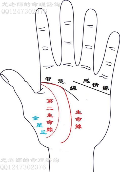 生命線有兩條|你也有兩條生命線？